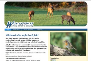 reklambyrån PR 4u har utvecklat hemsida i WordPress